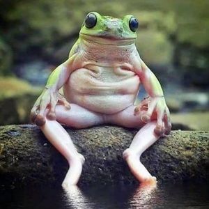 Meet your Posher, Rocky